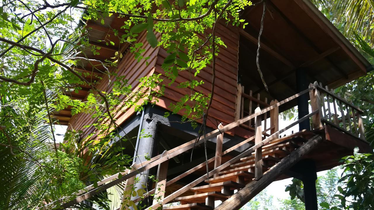 Villa Sigiri Sarilco Rock View Treehouse Sigiriya Exterior foto